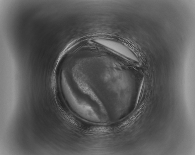 X0000116550198200912171356