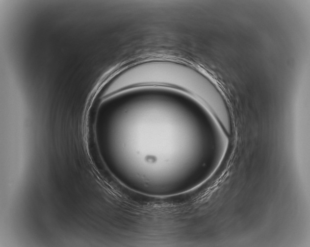 X0000116550199200912171356