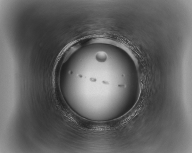 X0000116550200200912171356