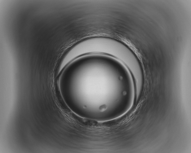 X0000116550201200912171356