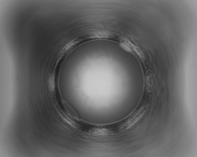 X0000116550203200912171356