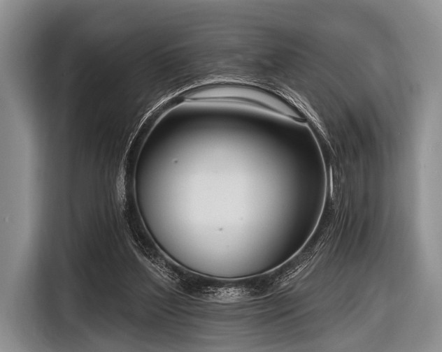 X0000116550204200912171356