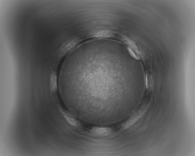 X0000116550205200912171356