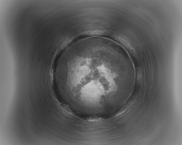 X0000116550206200912171356