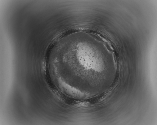 X0000116550210200912171356