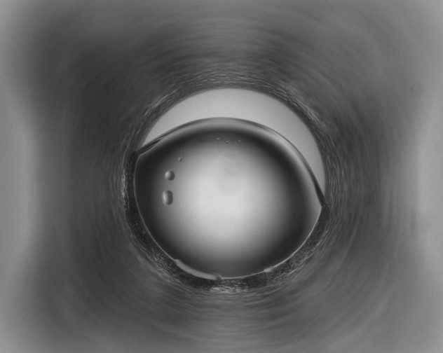 X0000116550211200912171356