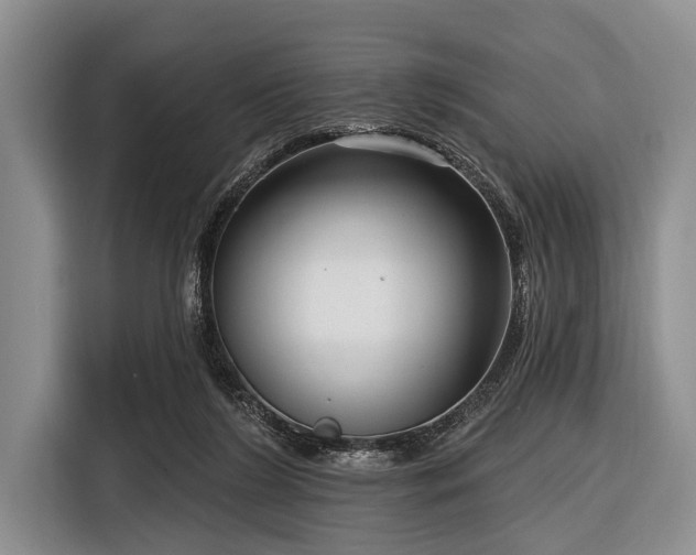 X0000116550212200912171356