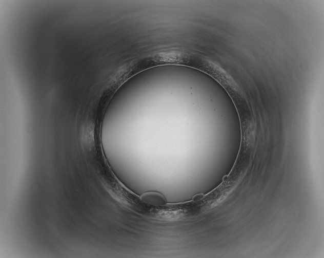 X0000116550213200912171356