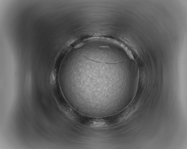 X0000116550214200912171356