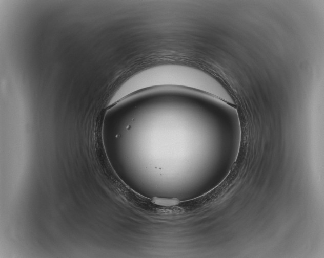 X0000116550215200912171355