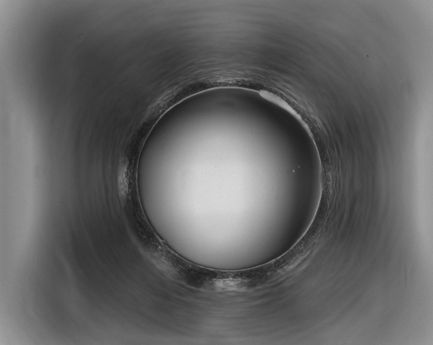 X0000116550216200912171355