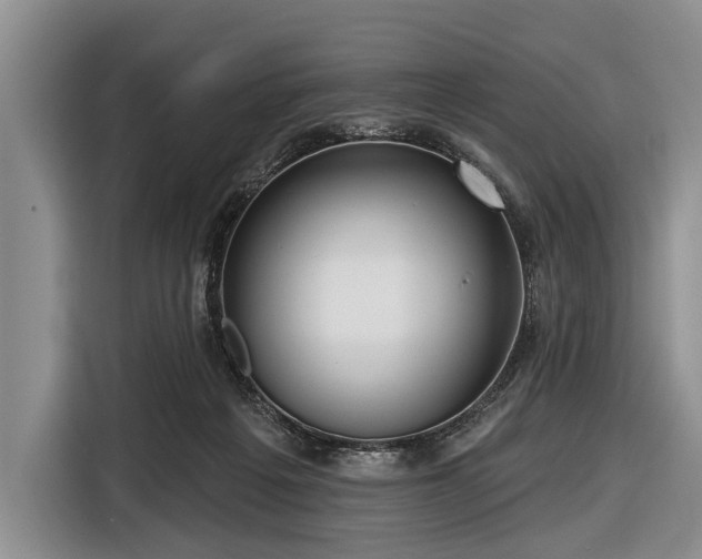 X0000116550217200912171355