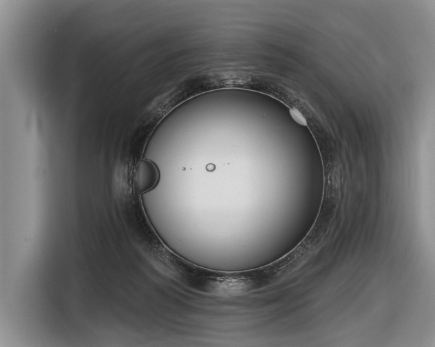 X0000116550218200912171355