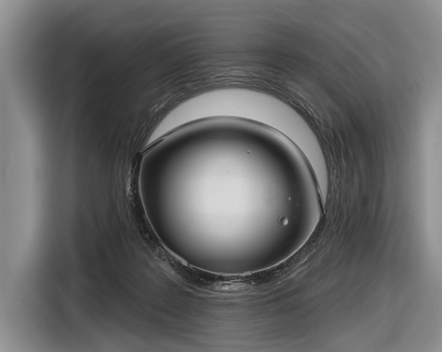 X0000116550219200912171355