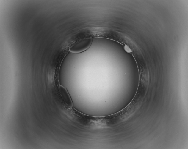 X0000116550221200912171355