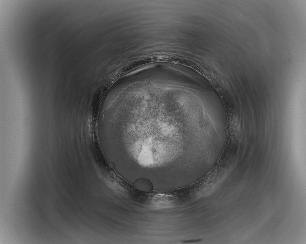 X0000116550222200912171355