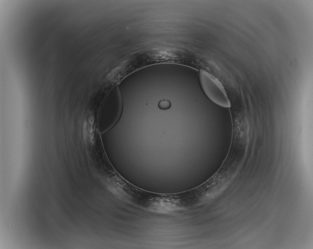 X0000116550223200912171355