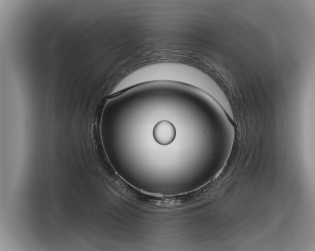 X0000116550225200912171355