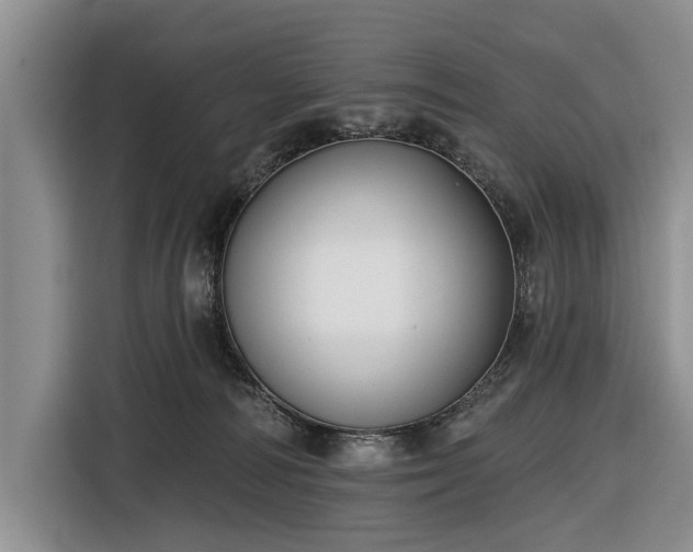 X0000116550226200912171355