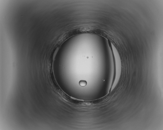 X0000116550227200912171355