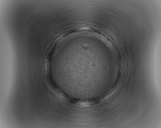 X0000116550228200912171355