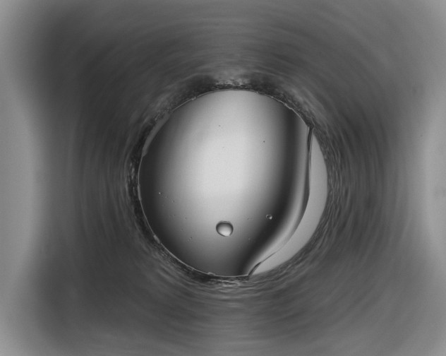 X0000116550229200912171355