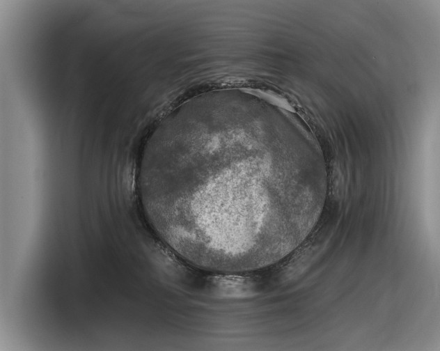 X0000116550230200912171355