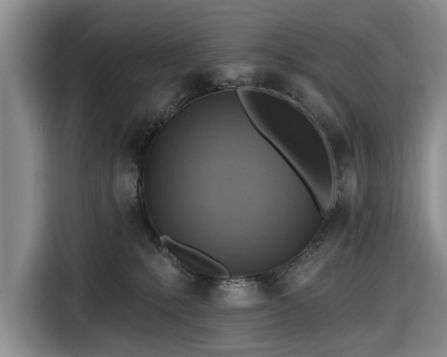 X0000116550231200912171355