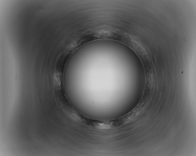 X0000116550232200912171355