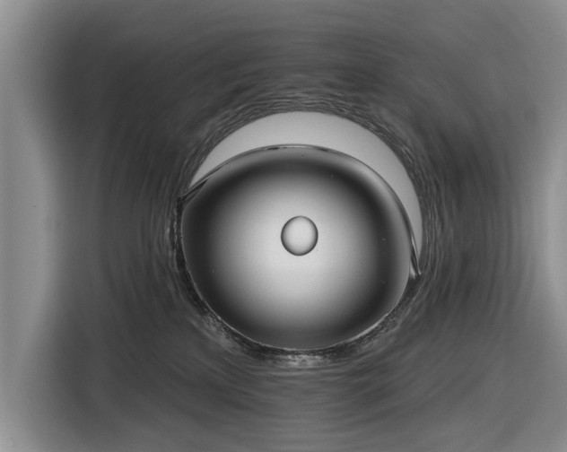 X0000116550233200912171355