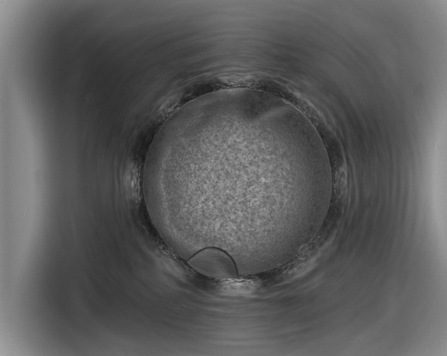 X0000116550234200912171355