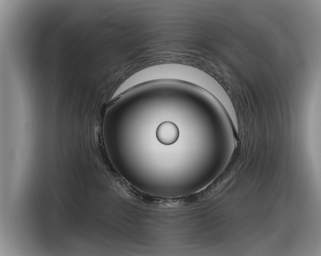 X0000116550235200912171355