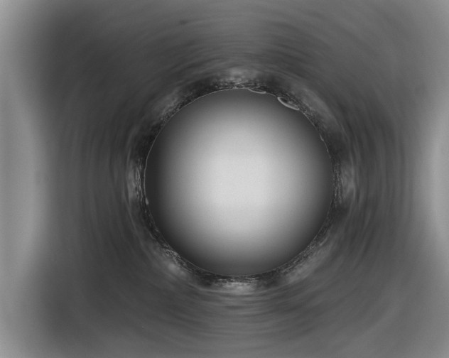 X0000116550236200912171355