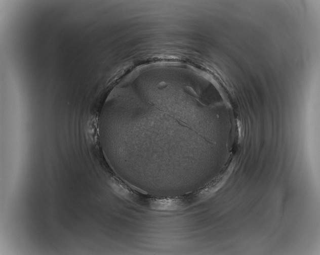 X0000116550237200912171355