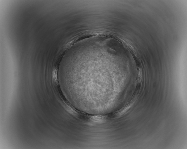 X0000116550238200912171355