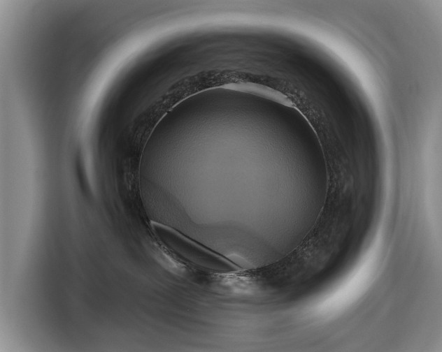 X0000116550239200912171355