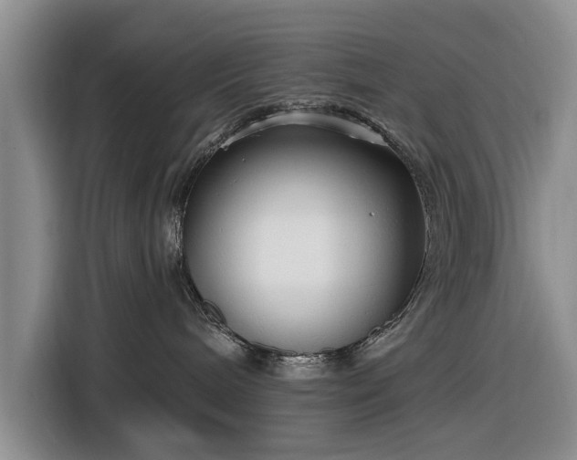 X0000116550240200912171355