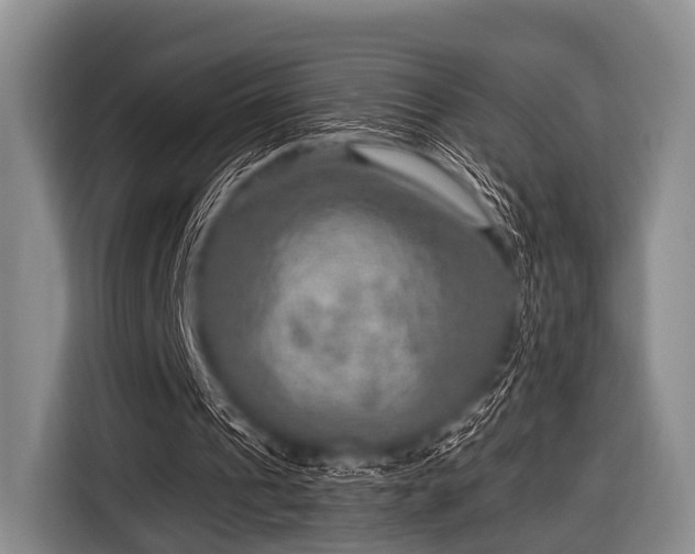 X0000116550241200912171354