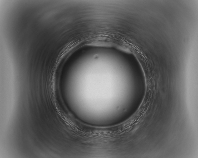 X0000116550242200912171354