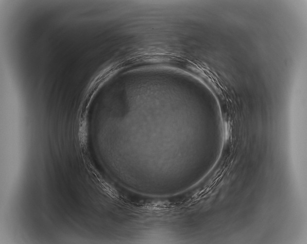 X0000116550243200912171354