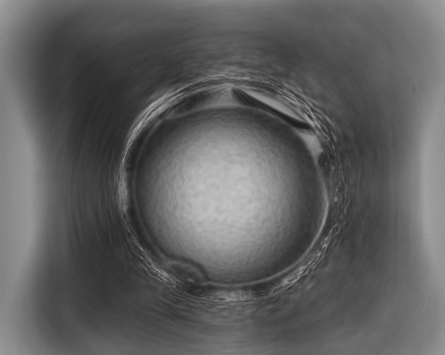 X0000116550245200912171354