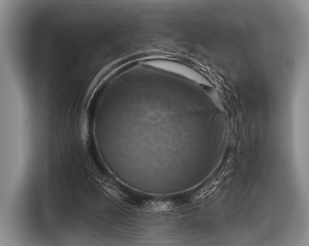 X0000116550247200912171354