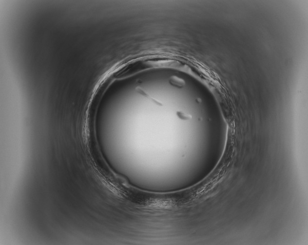 X0000116550248200912171354