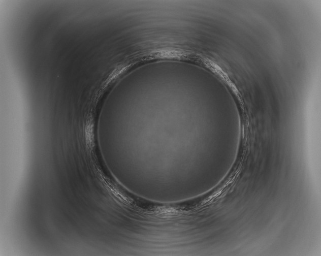 X0000116550249200912171355