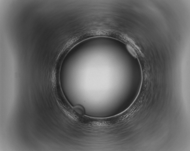 X0000116550250200912171355