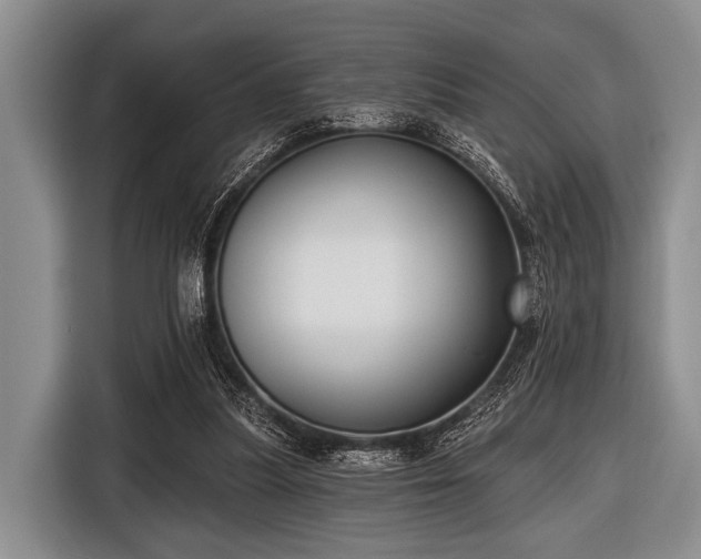 X0000116550251200912171355