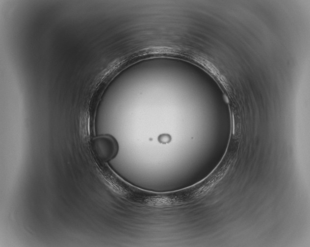 X0000116550253200912171355