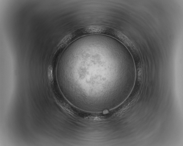 X0000116550254200912171355