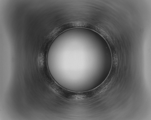 X0000116550255200912171355