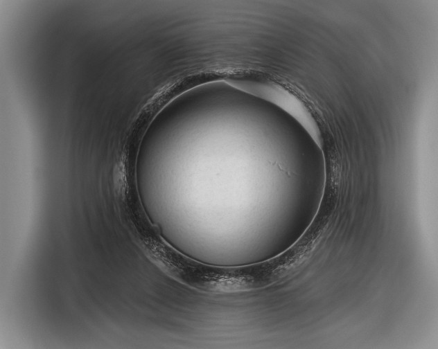 X0000116550256200912171355